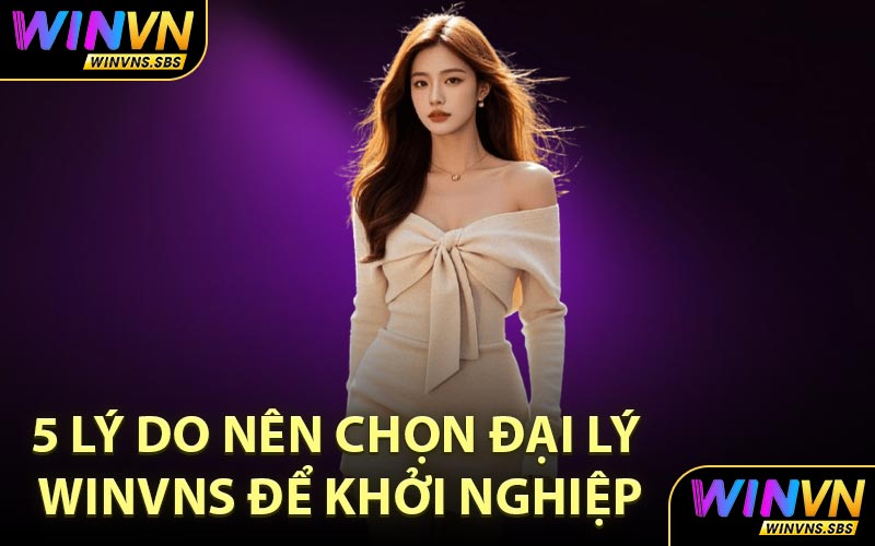 5 Lý Do Nên Chọn Đại Lý WINVNS Để Khởi Nghiệp
