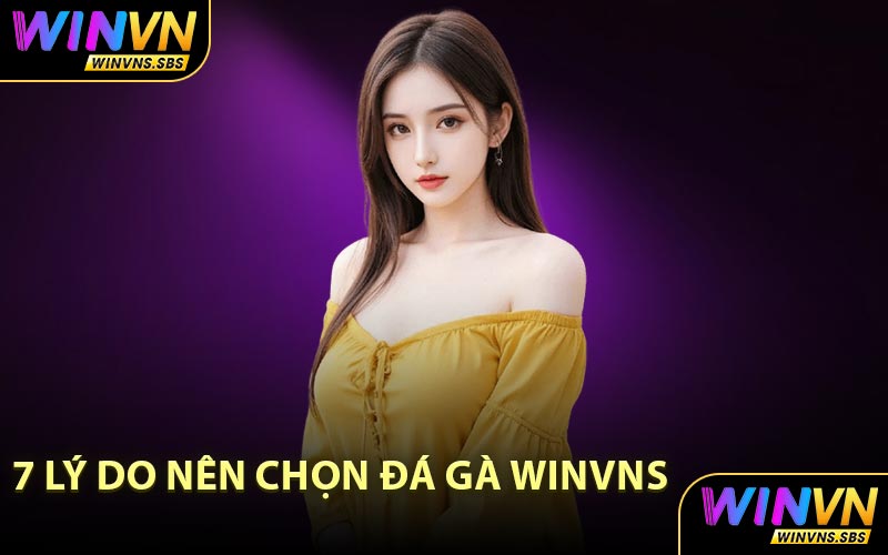 7 Lý Do Nên Chọn Đá Gà WINVNS