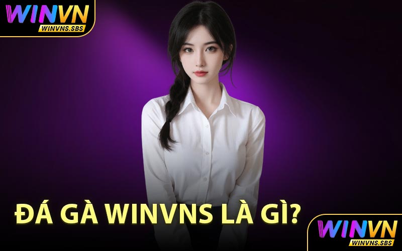 Đá Gà WINVNS Là Gì?