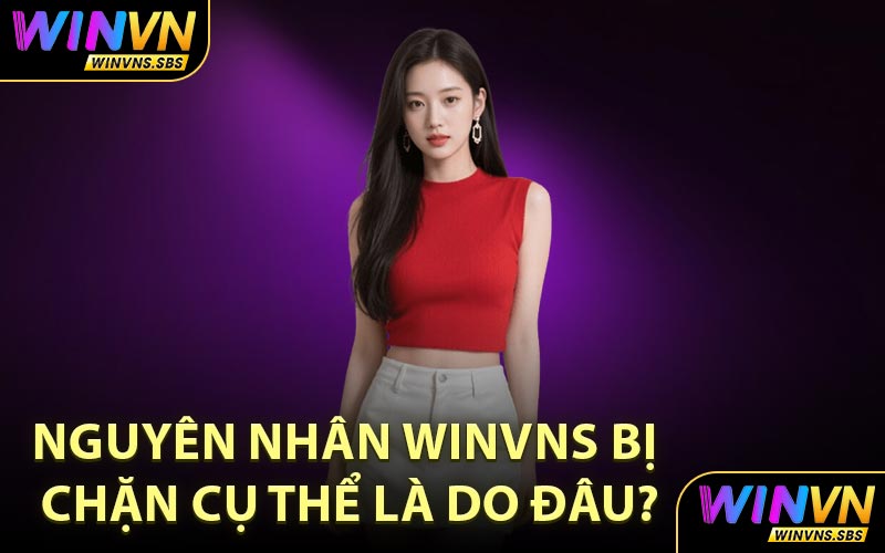 Nguyên nhân WINVNS bị chặn cụ thể là do đâu?