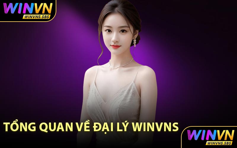 Tổng Quan Về Đại Lý WINVNS